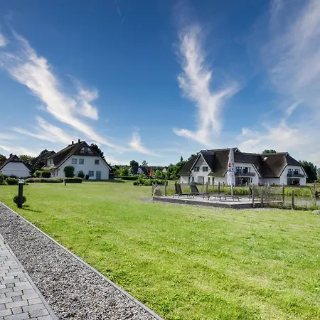 Austernfischer 39 Im Wreecher Idyll Ruegen By Ruyastay